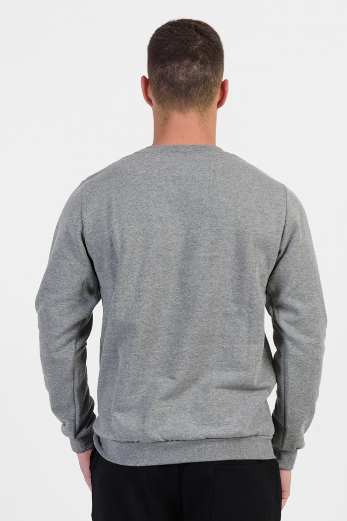 Men's sweatshirt ANS 211 GREY