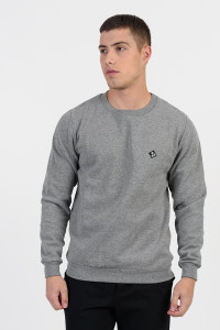 Men's sweatshirt ANS 211 GREY