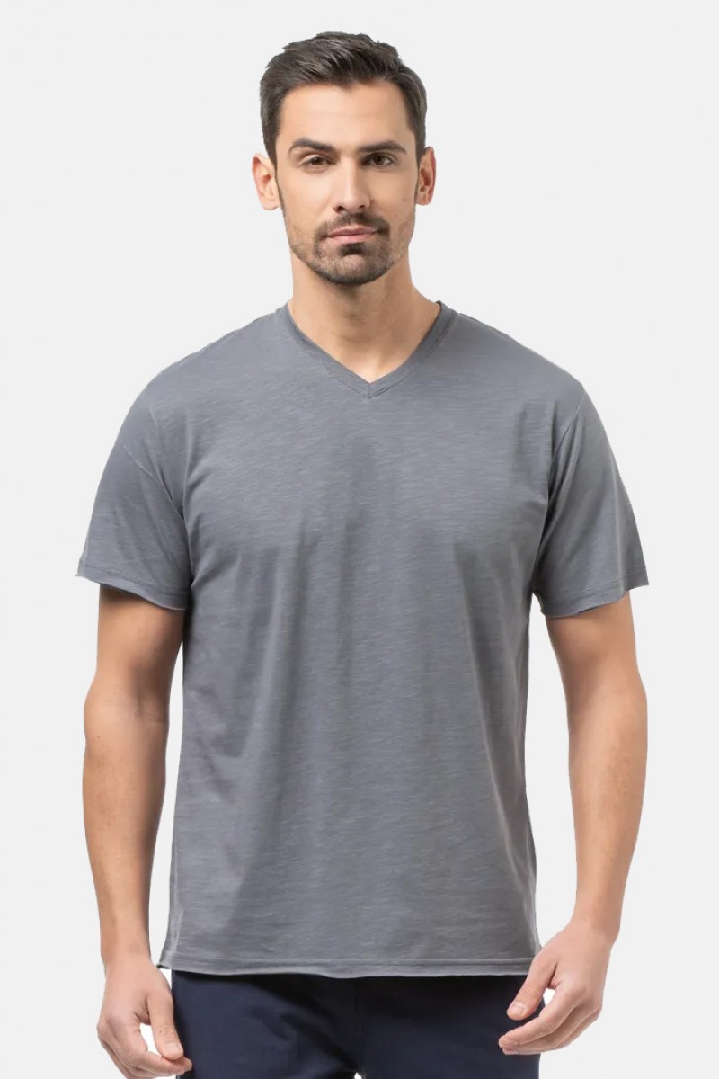 Herren-T-Shirt Flama mit V BODY MOVE 1452 GREY