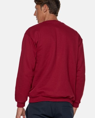 Herren Sweatshirt BODY MOVE 82 BORDO