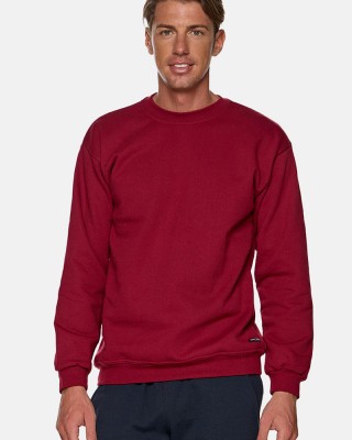 Herren Sweatshirt BODY MOVE 82 BORDO