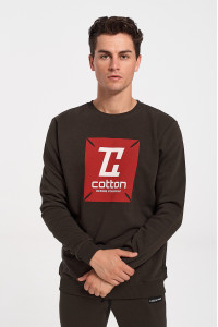 Sweatshirt Sweatshirt Cotton4all LOGO 335