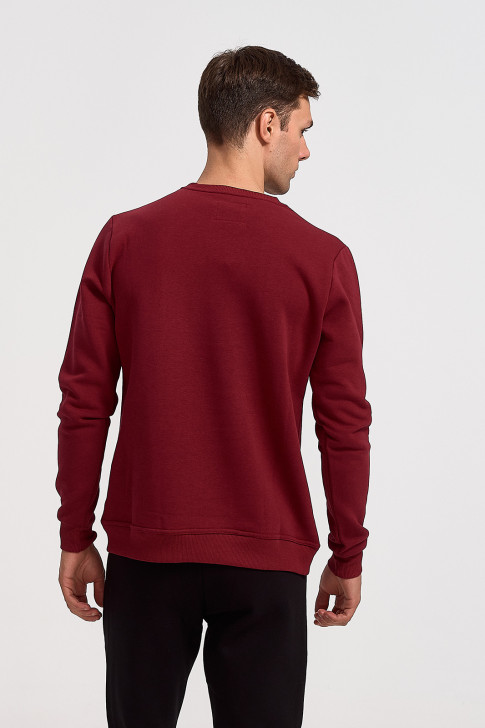 Sweatshirt COTTON4ALL Blacklight 24-805