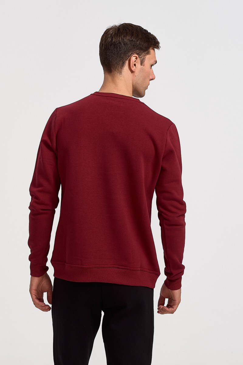 Sweatshirt COTTON4ALL Blacklight 24-805