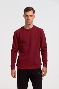 Sweatshirt COTTON4ALL Blacklight 24-805