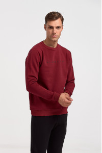 Sweatshirt COTTON4ALL Blacklight 24-805