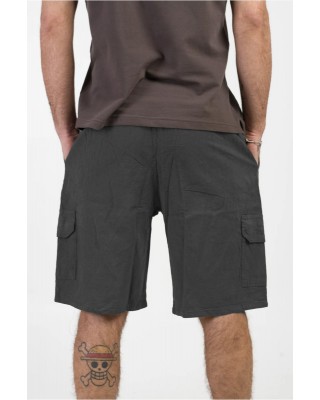 Men's LION Bermuda shorts with pockets MINT