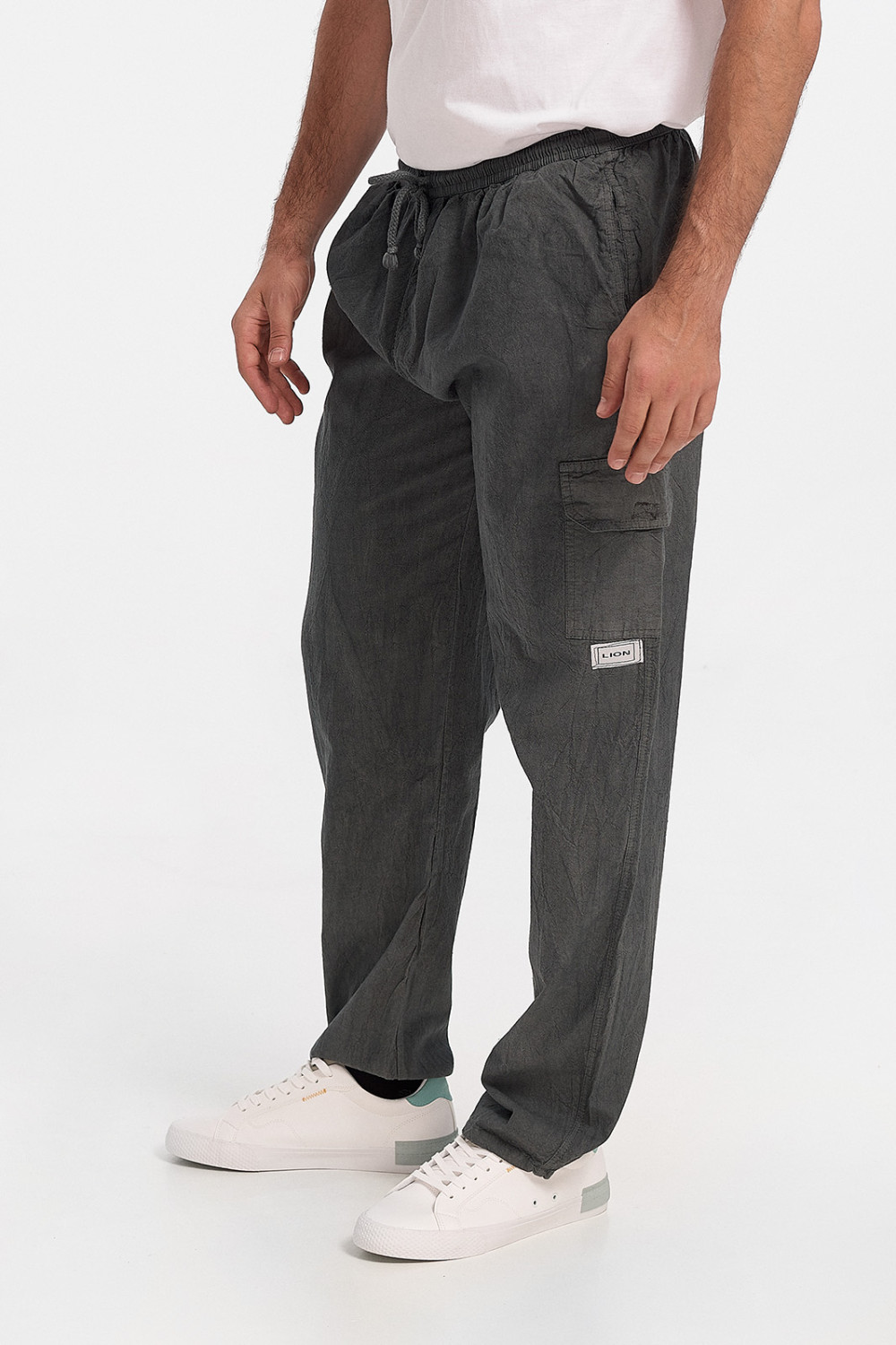 Men's trousers LION Cargo