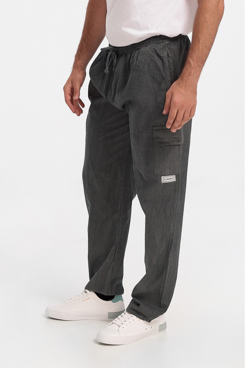 Men's trousers LION Cargo