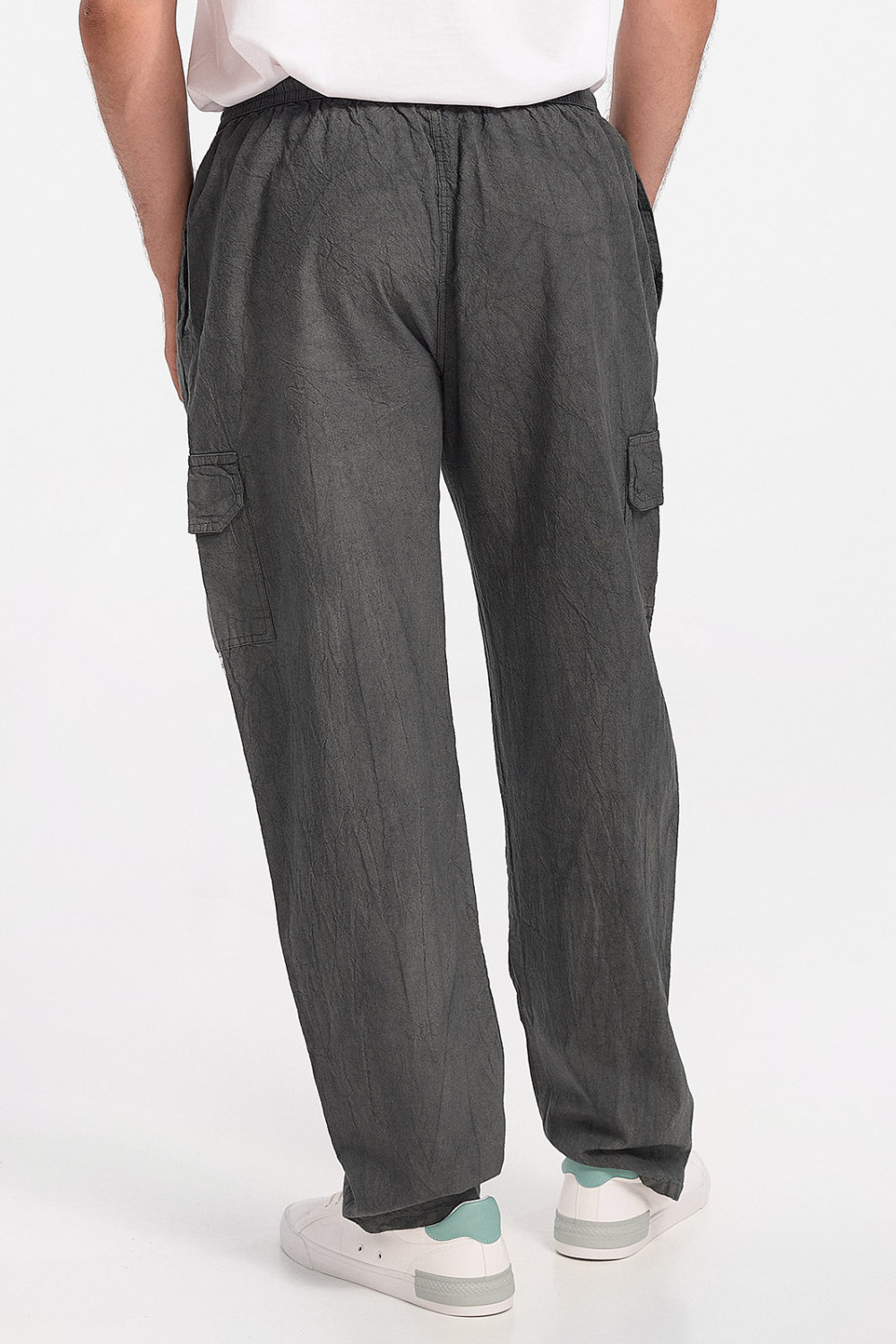 Men's trousers LION Cargo