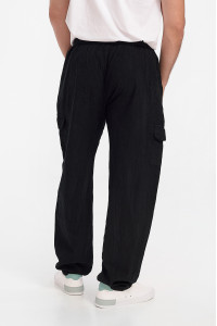 Men's trousers LION Cargo