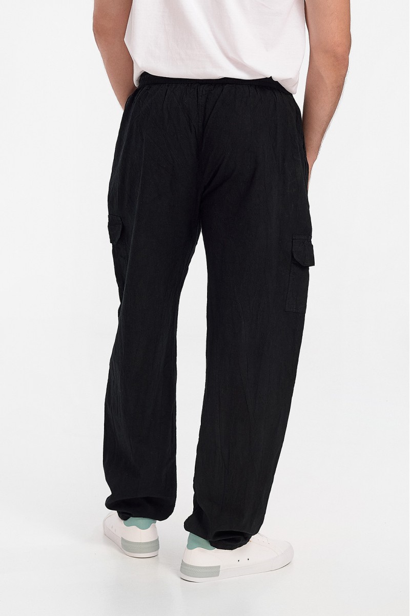 Men's trousers LION Cargo