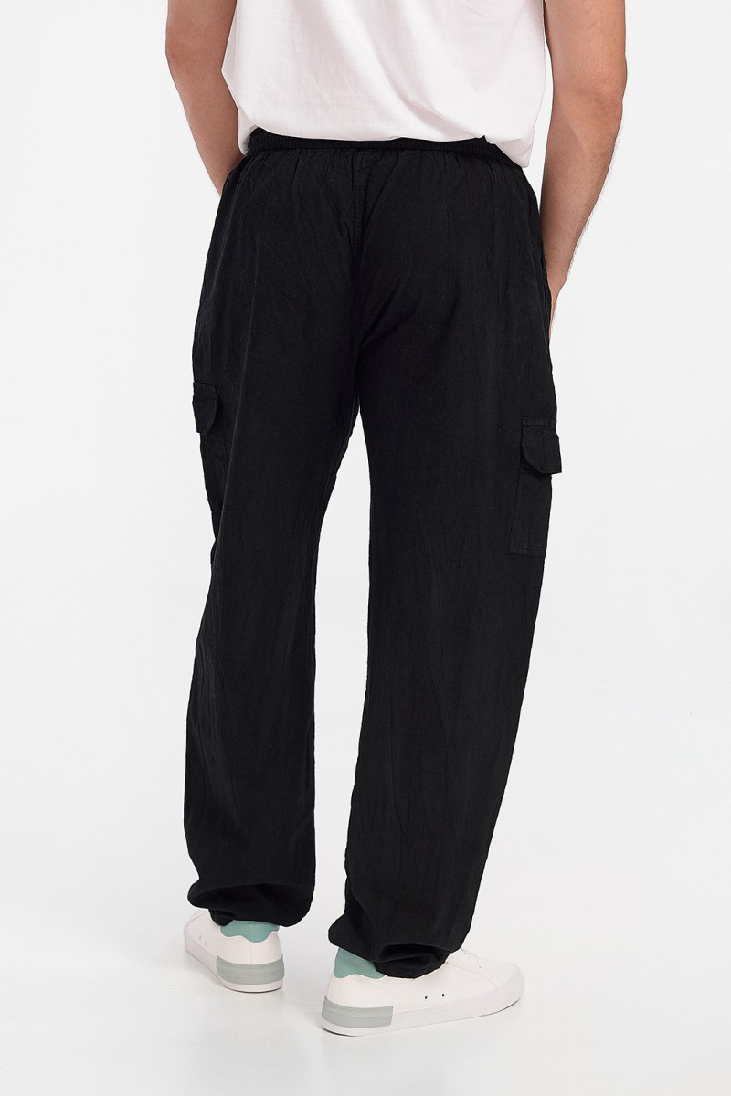 Men's trousers LION Cargo