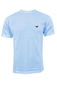 Men's T-Shirt LION Solid color with neckline