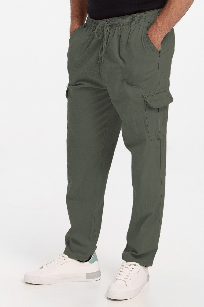 Men's trousers LION Cargo