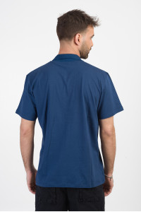 Classic blouse with collar LION