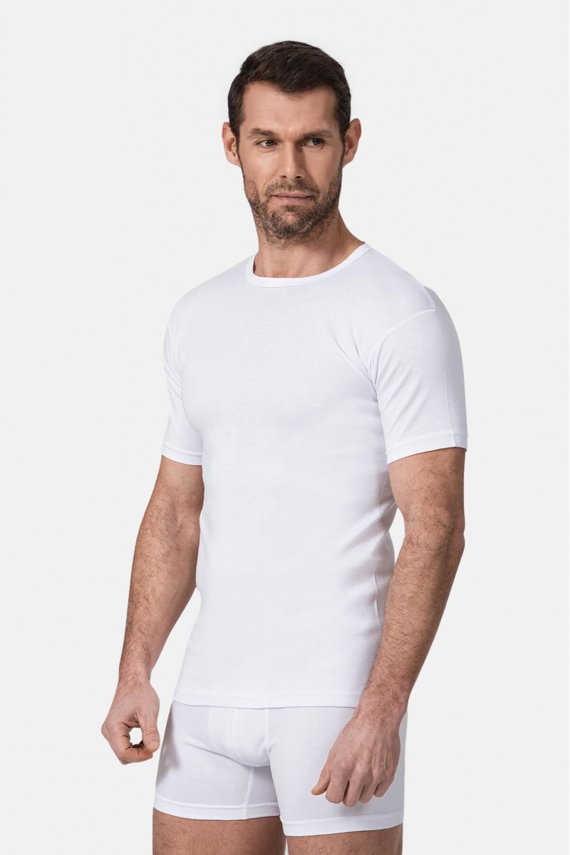 Men's short-sleeved t-shirt NAMALDI 111