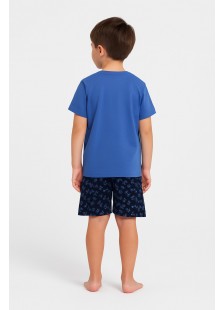 Pretty Baby Schlafanzug für Jungen 65391 Kohl und Blau Pretty Baby Schlafanzug für Jungen 65391 Kohl und Blau