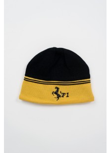Unisex Beanie F1 Offer