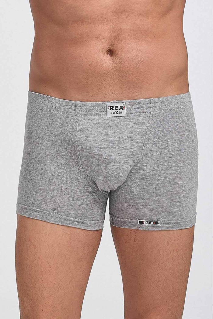 Men's Boxer REX - Fitted