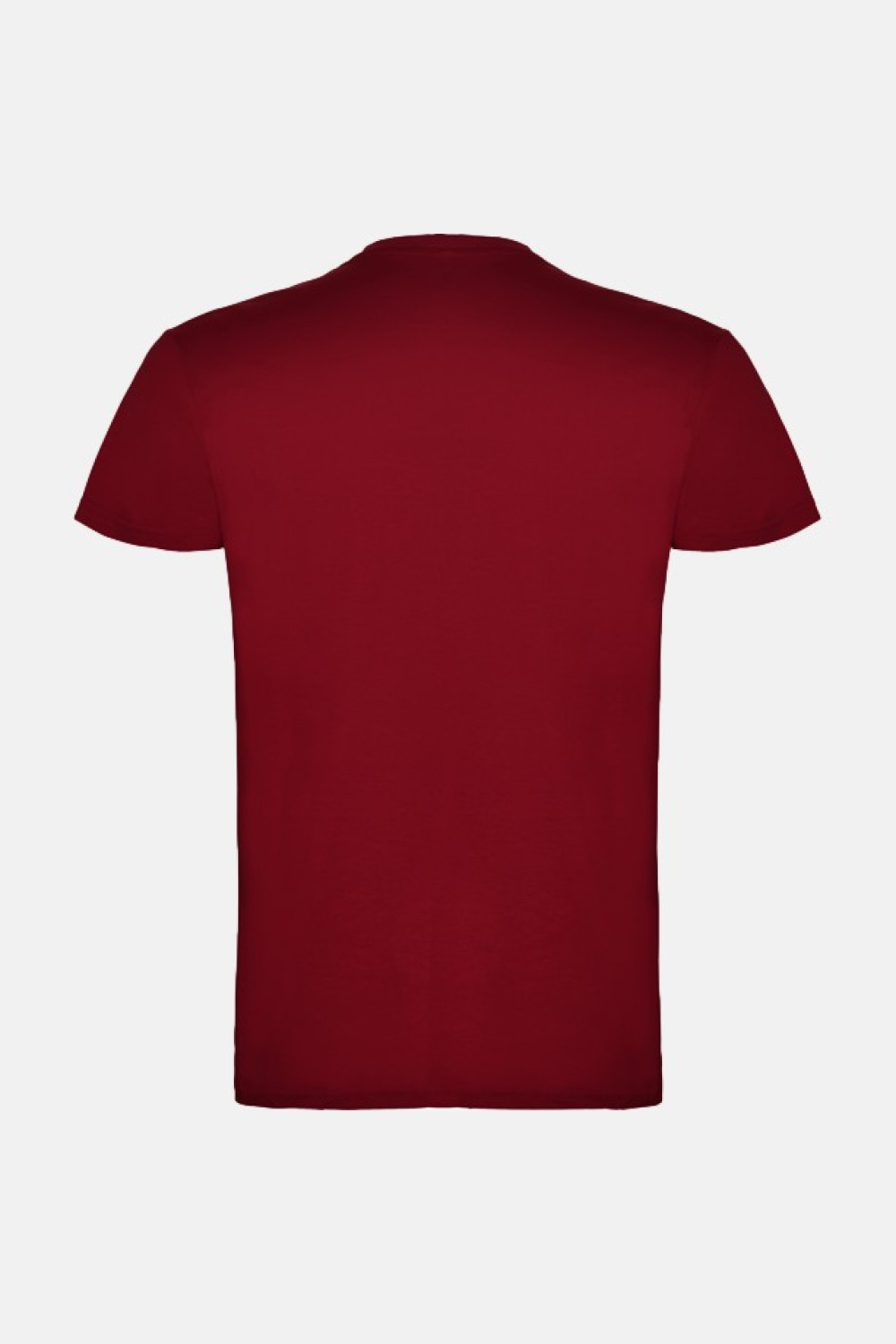 Men's T-Shirt ROLY BEAGLE