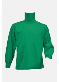 Rollkragenbluse CARAVEL