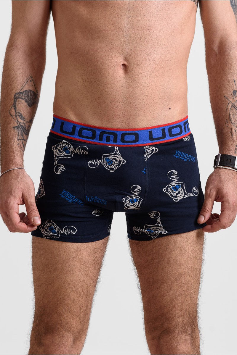 Herren Boxer Casual UOMO - Farben 10er Pack 101