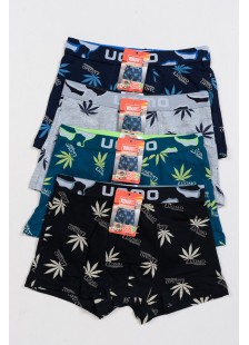 Teenager-Boxershorts UOMO Boy 4 Stück F-G5202