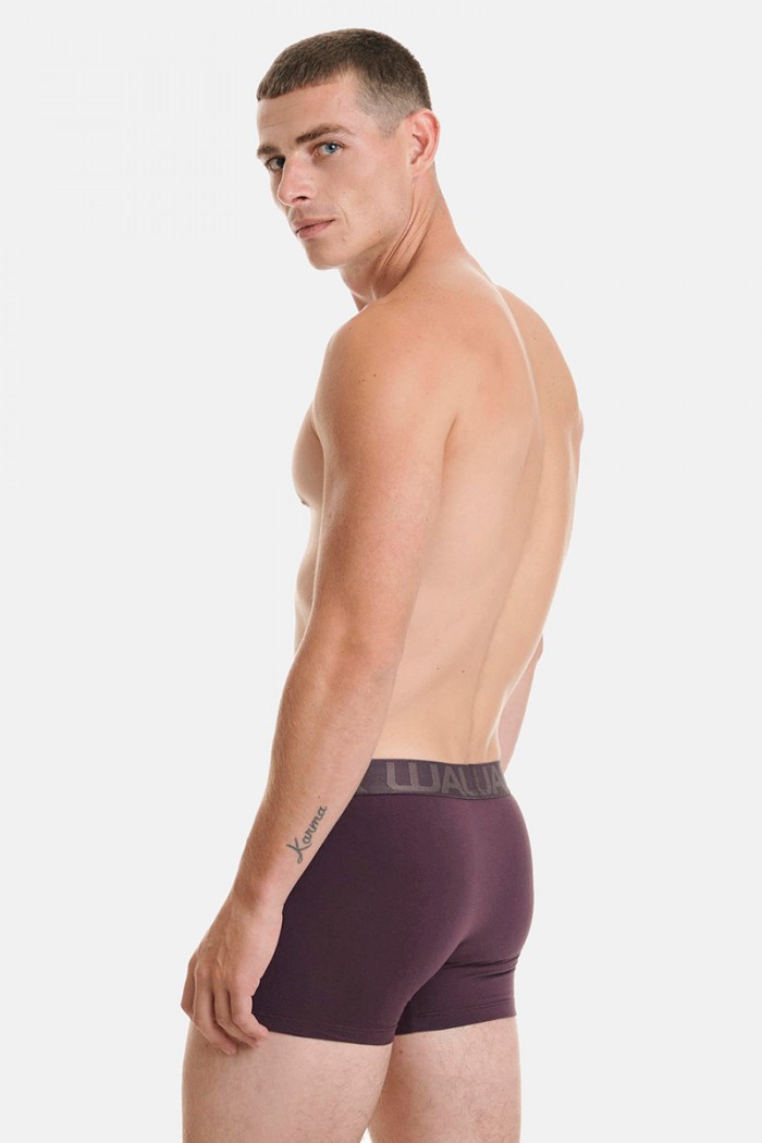 Men's Boxers WALK 3 PACK W1753-4 MULTICOLOR