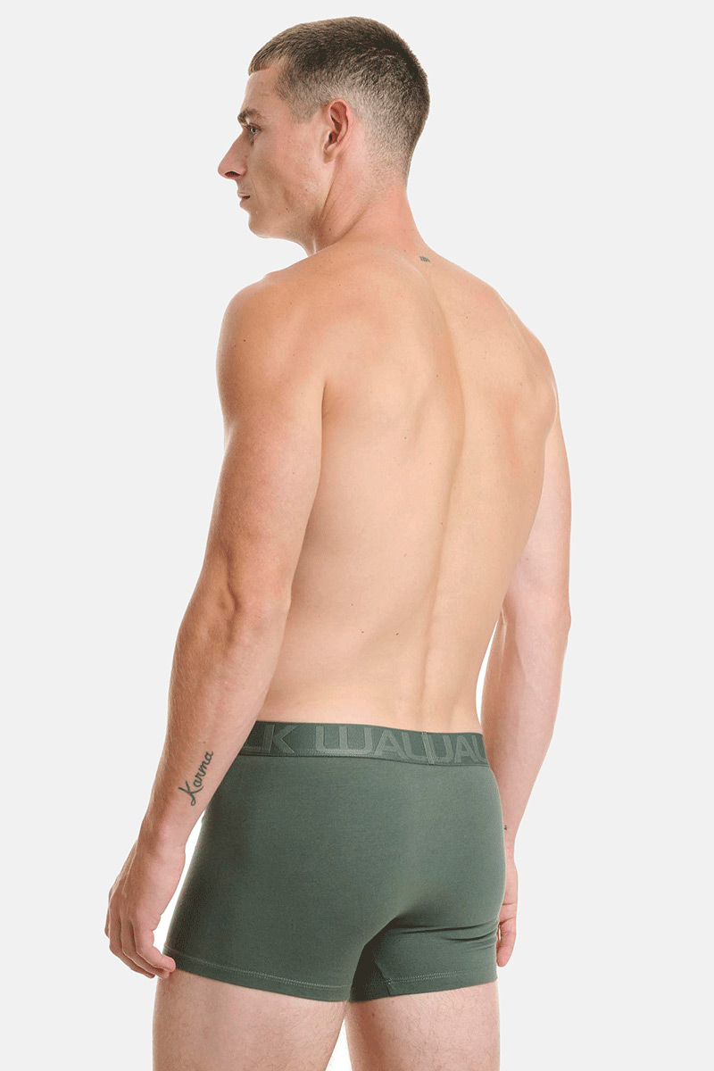 Herren Boxershorts WALK 3 PACK W1753-4 MULTICOLOR