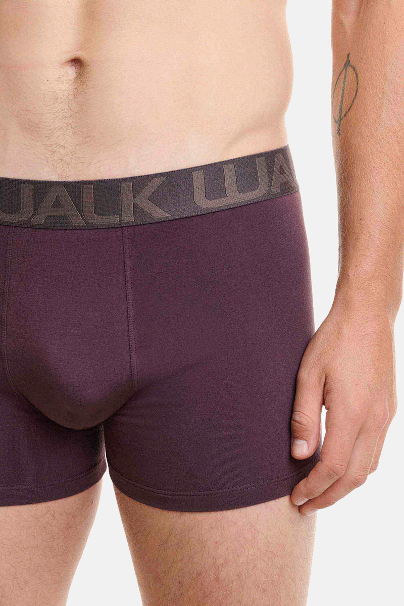 Herren Boxershorts WALK 3 PACK W1753-4 MULTICOLOR