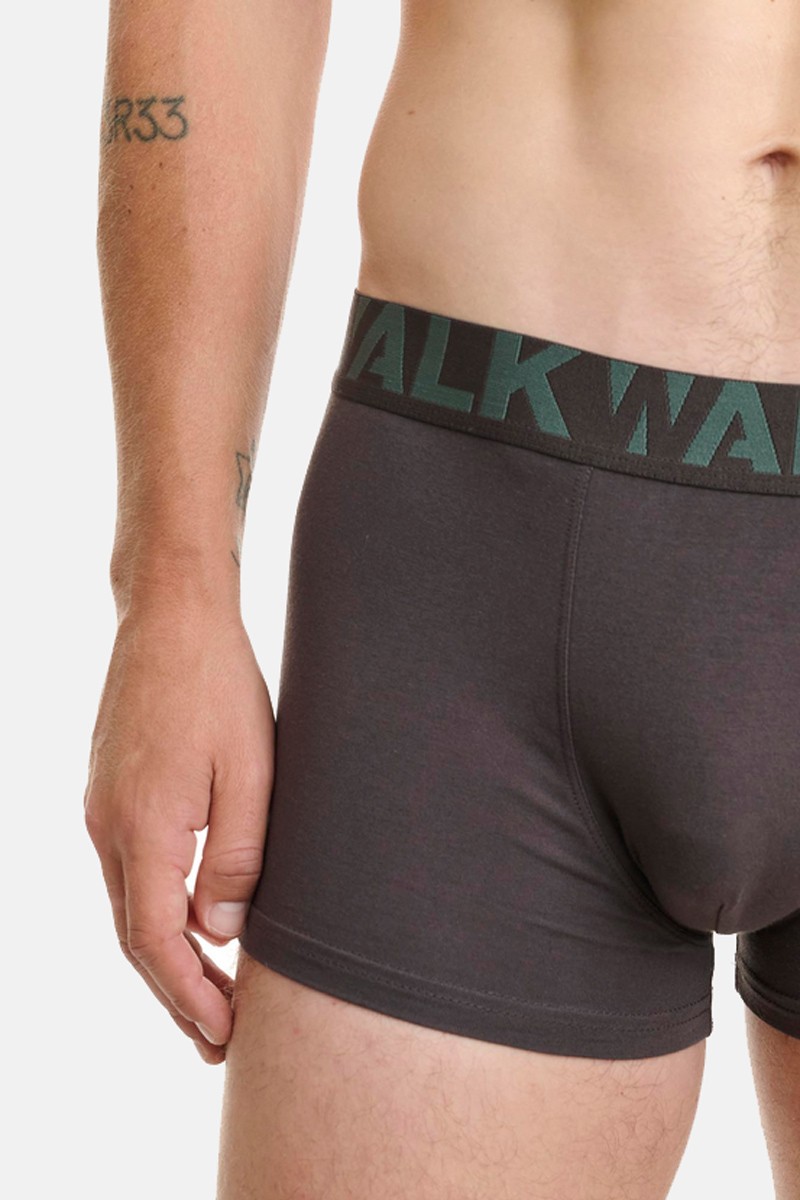 Men's Boxers WALK 2 PACK W1755-1 Coffee Green Dark Blue