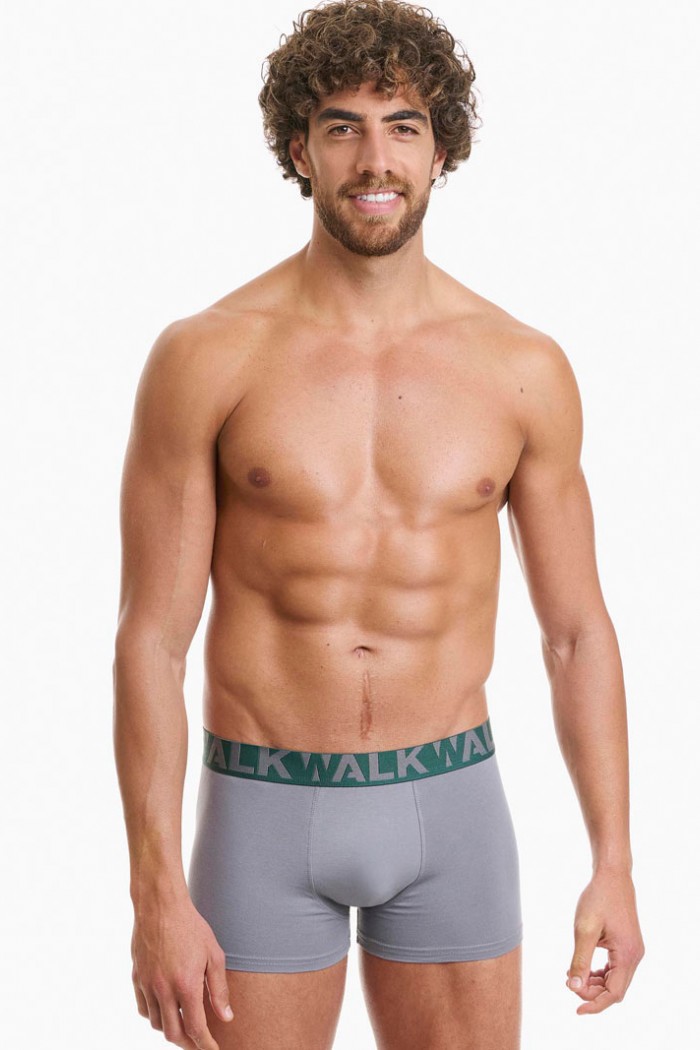 Herren Boxershorts WALK 2 PACK W1755-1_4012 GREEN GREY