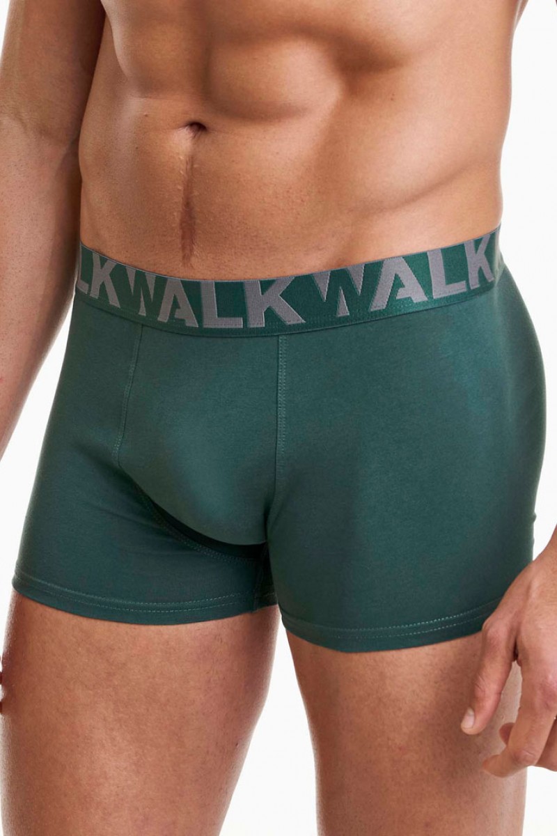 Men's Boxers WALK 2 PACK W1755-1_4012 GREEN GREY