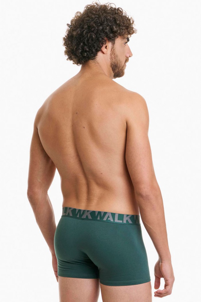 Herren Boxershorts WALK 2 PACK W1755-1_4012 GREEN GREY