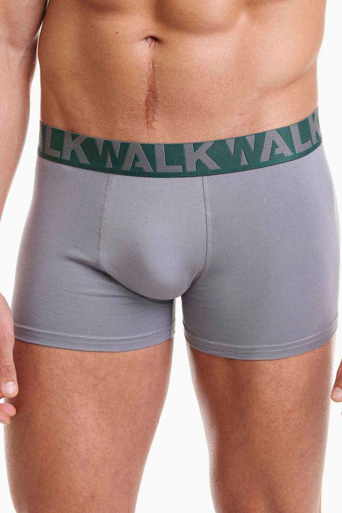 Herren Boxershorts WALK 2 PACK W1755-1_4012 GREEN GREY