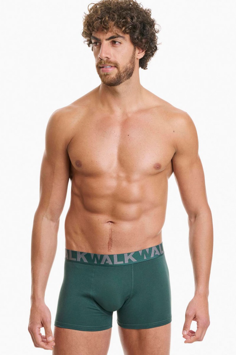 Men's Boxers WALK 2 PACK W1755-1_4012 GREEN GREY