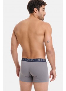 Men's underwear WALK Boxers 2 PACK W1755-1 BLUE GREY
