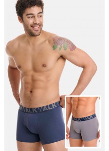 Men's underwear WALK Boxers 2 PACK W1755-1 BLUE GREY