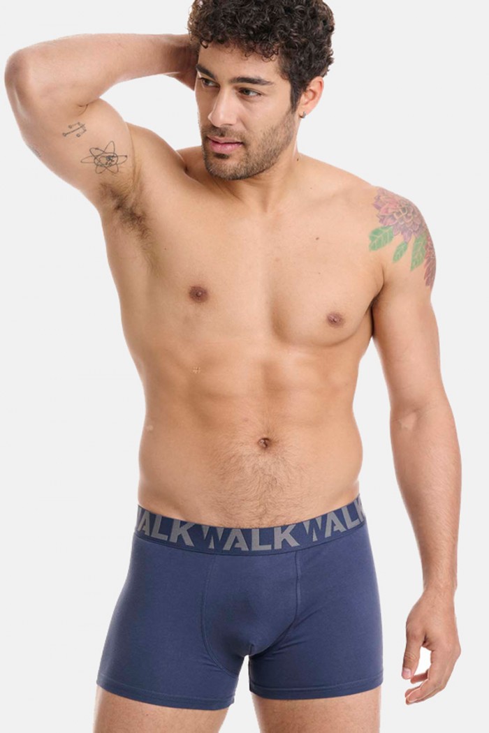 Men's underwear WALK Boxers 2 PACK W1755-1 BLUE GREY