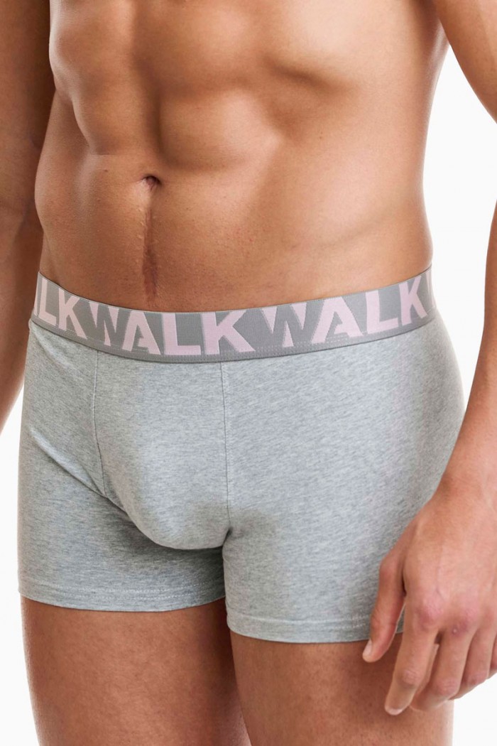 Men's Boxers WALK 2 PACK W1755-1_2949 GREY ROZ