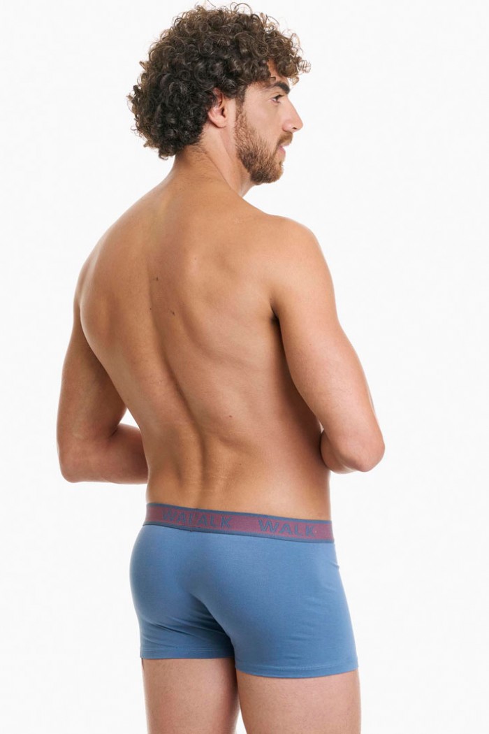 Herrenunterwäsche WALK Boxershorts 2 PACK W1756_0739 WALK Boxershorts 2 PACK