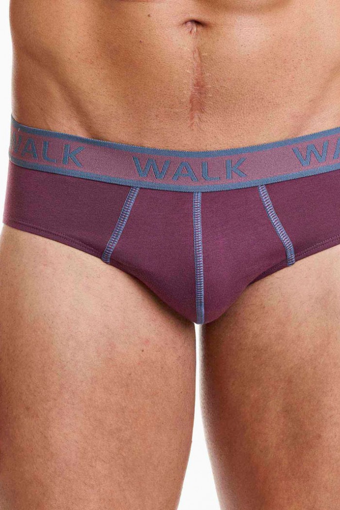 Men's WALK 2 PACK W1757_0739 Men's briefs WALK 2 PACK