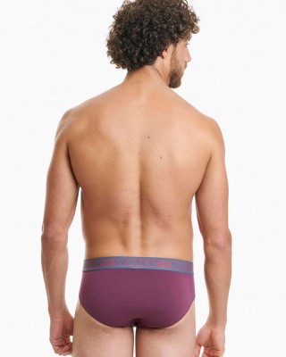 Men's WALK 2 PACK W1757_0739 Men's briefs WALK 2 PACK