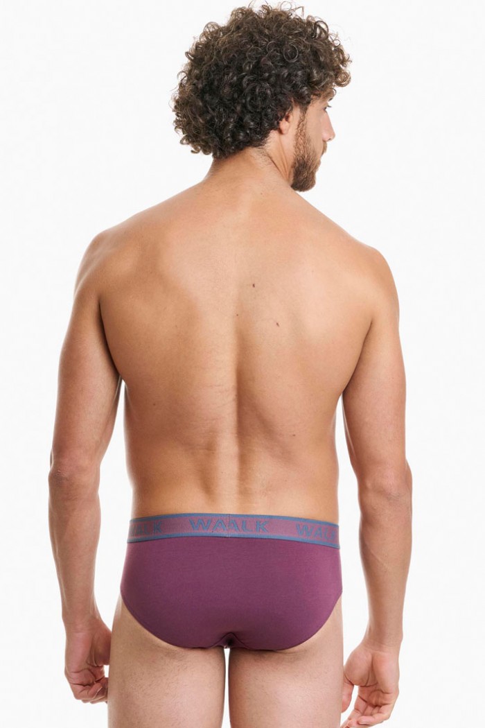 Men's WALK 2 PACK W1757_0739 Men's briefs WALK 2 PACK