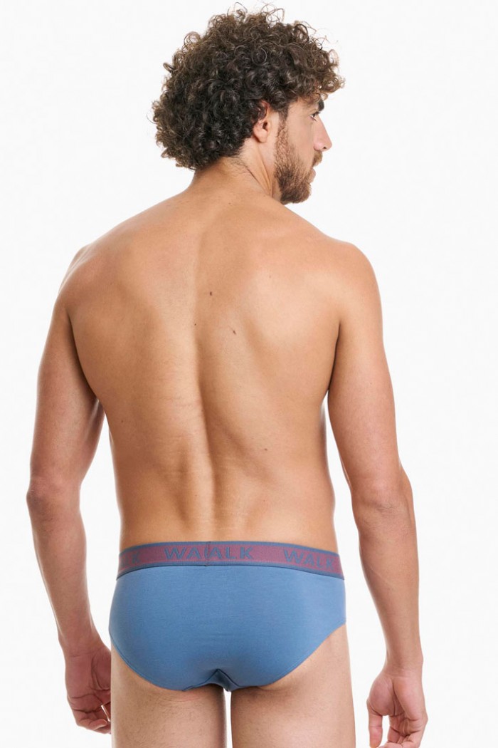 Men's WALK 2 PACK W1757_0739 Men's briefs WALK 2 PACK
