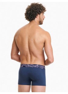 Herrenunterwäsche WALK Boxershorts 2 PACK W1762-4_0330 BLUE SK LILA