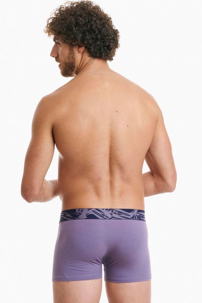 Herrenunterwäsche WALK Boxershorts 2 PACK W1762-4_0330 BLUE SK LILA