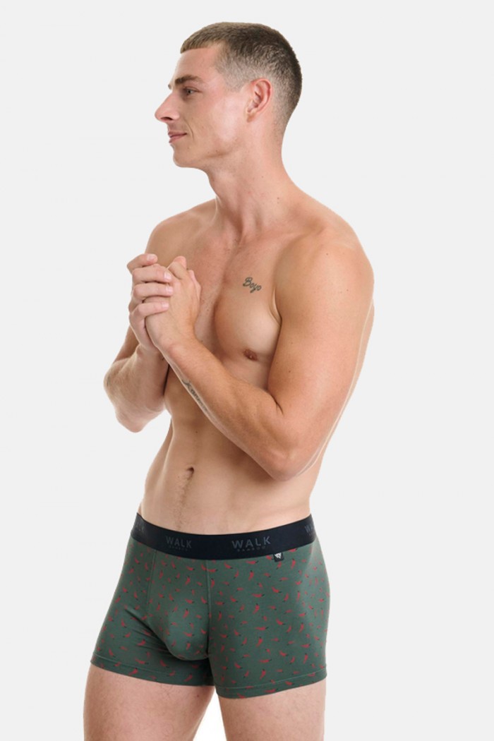 Men's Boxer WALK Bamboo W1770-65 WALK