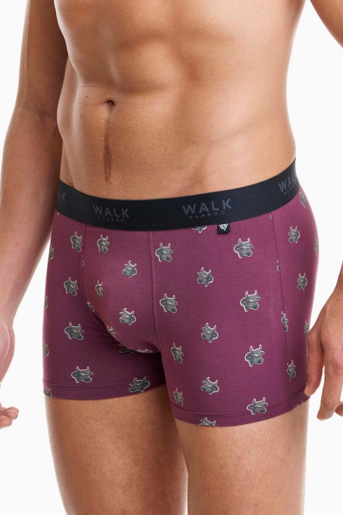 Men's Boxer WALK Bamboo W1770-70 BORNTO
